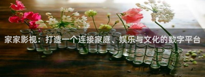 青柠影院2024年上映的电视剧：家家影视：打造一个连接家庭、娱乐与文化的数字平台