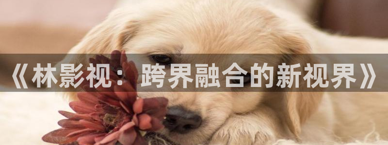 青柠神马影院：《林影视：跨界融合的新视界》