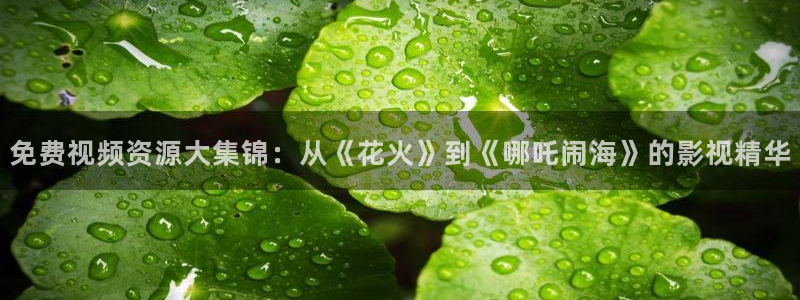 青青河边草青柠影院：免费视频资源大集锦：从《花火》到《哪吒闹海》的影视精华