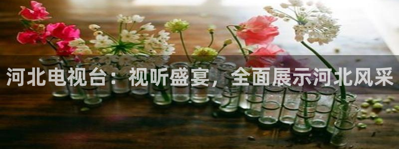 青柠视频在线：河北电视台：视听盛宴，全面展示河北风采