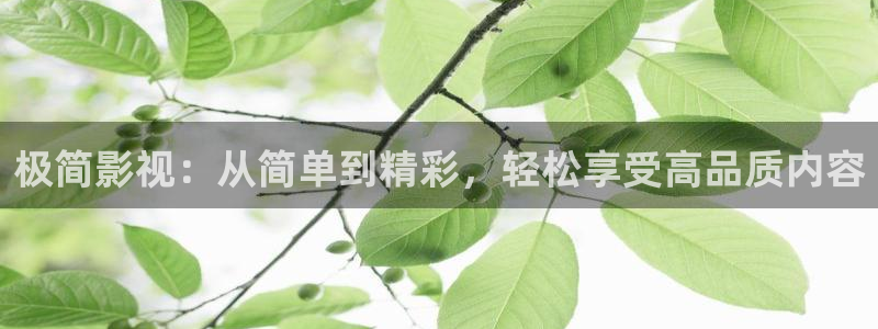 青柠影院免费观看电视剧在线看：极简影视：从简单到精彩，轻松享受高品质内容