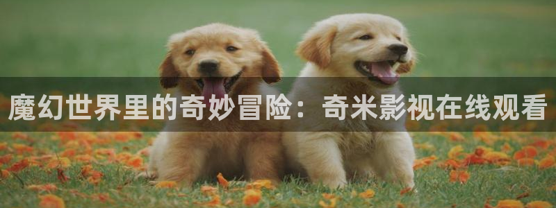 青柠影院伦理：魔幻世界里的奇妙冒险：奇米影视在线观看