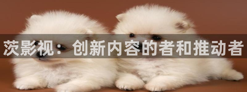 青柠影院免费看电视剧：茨影视：创新内容的者和推动者