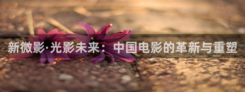 青柠影院免费观看电视剧在线看：新微影·光影未来：中国电影的革新与重塑