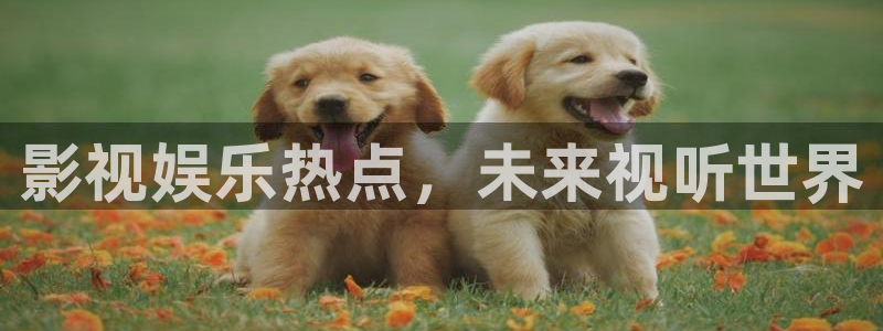 青柠影院免费观看电视剧高清免费网：影视娱乐热点，未来视听世界